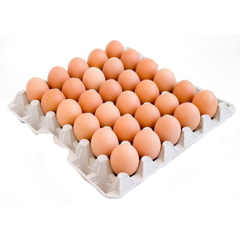 Яйцо куриное столовое СВ двухжелтковое 10шт