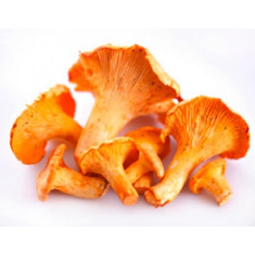 Лисички свежие