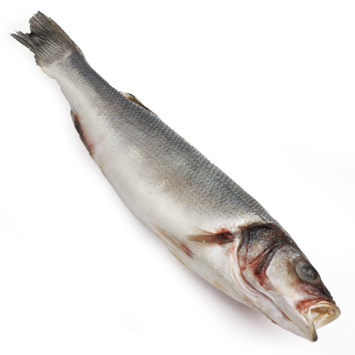 Сибас свежемороженый Сибас свежемороженый