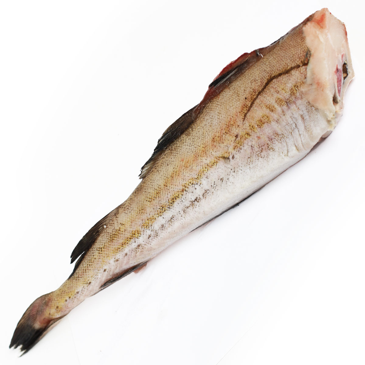 Минтай свежемороженый средний 30+