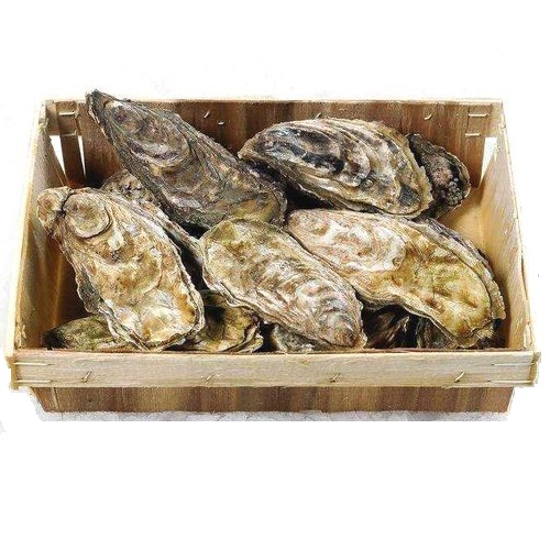 Устрицы Фин де Клер №2