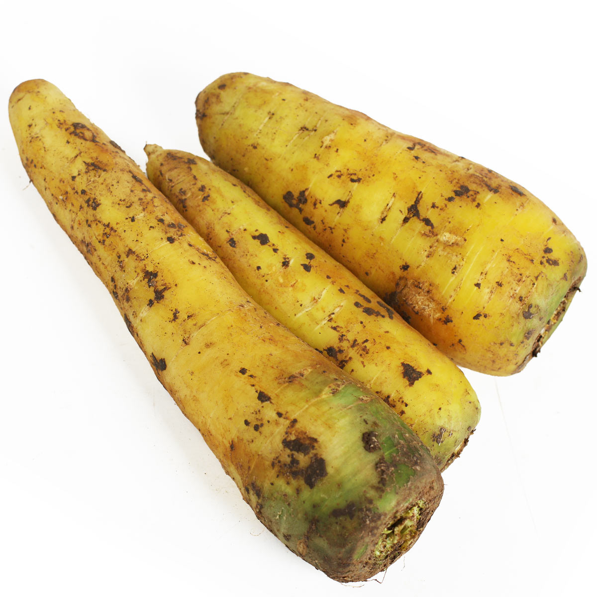 Морковь желтая