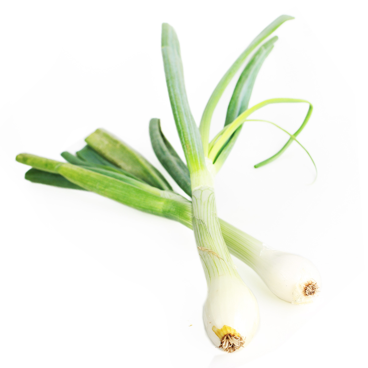 Чеснок молодой корешок и листья