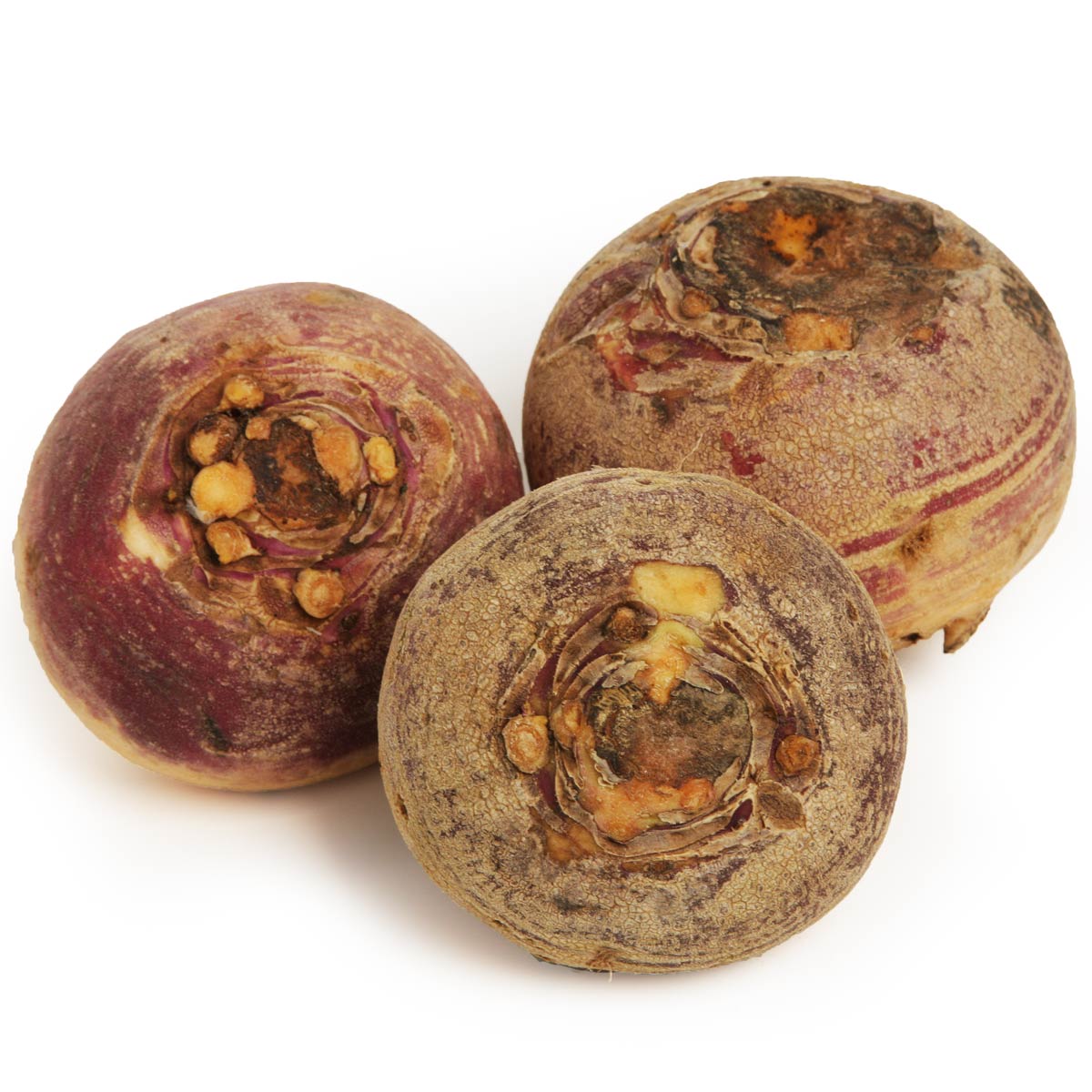 Брюква свежая