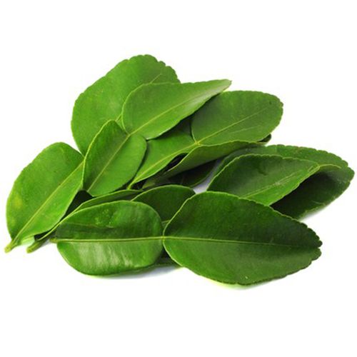 Листья лайма Листья лайма