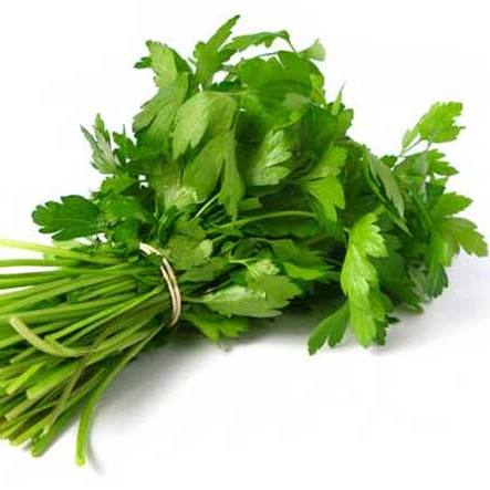 Петрушка свежая