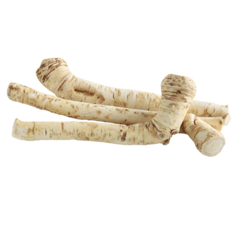 Корень хрена Корень хрена
