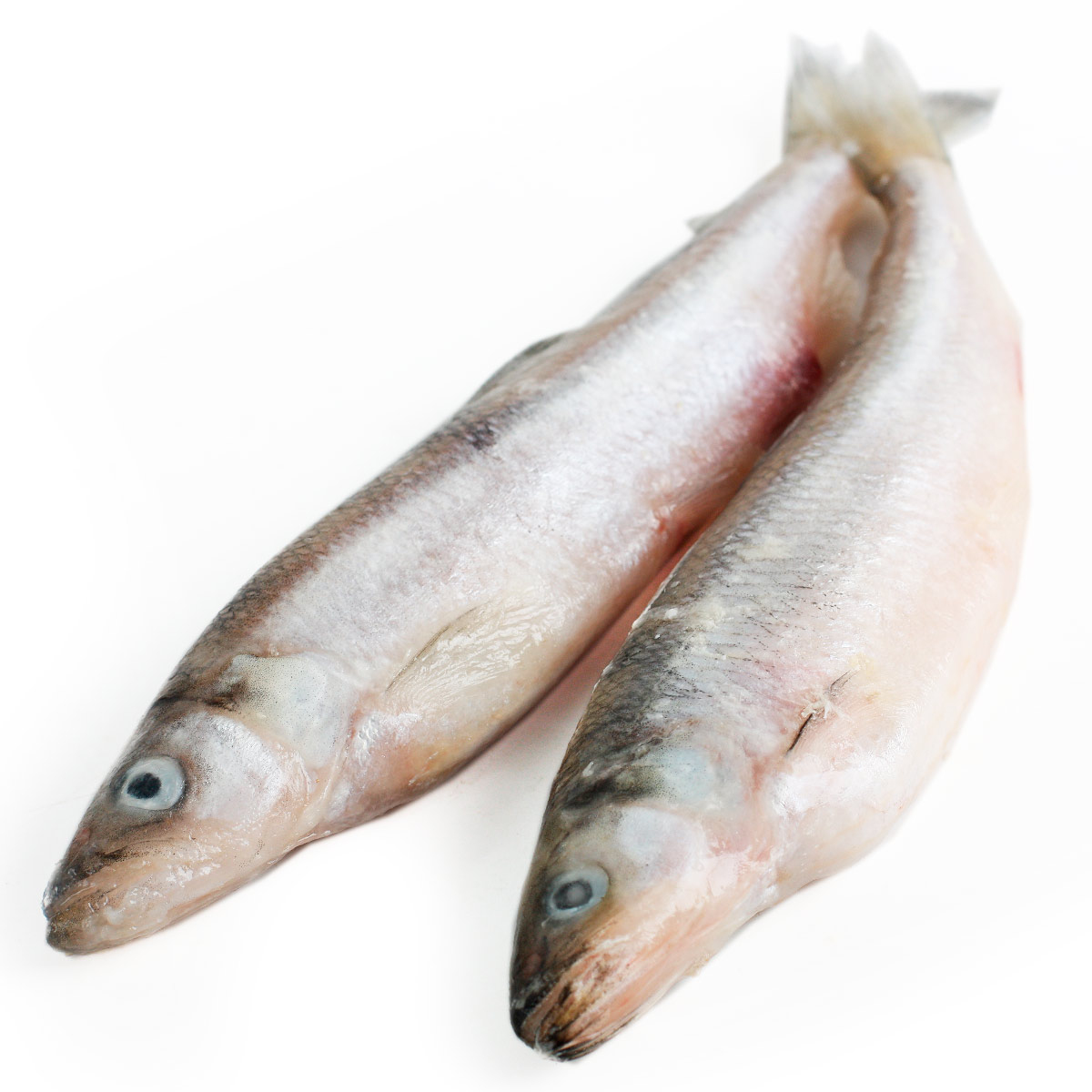 Корюшка отборная свежемороженая