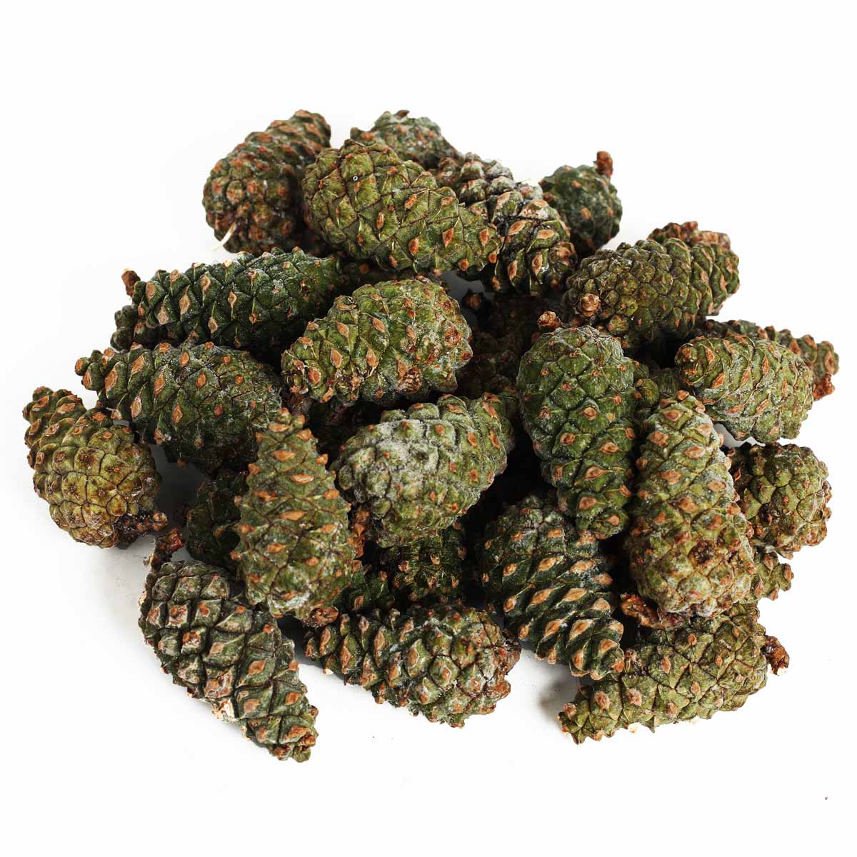 Шишка сосновая молодая замороженная