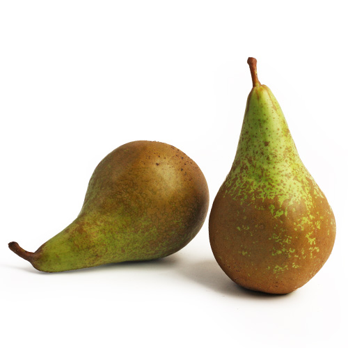 Груша Конференц