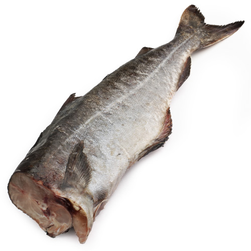 Сайда свежемороженая