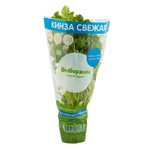 Кинза в горшочке 