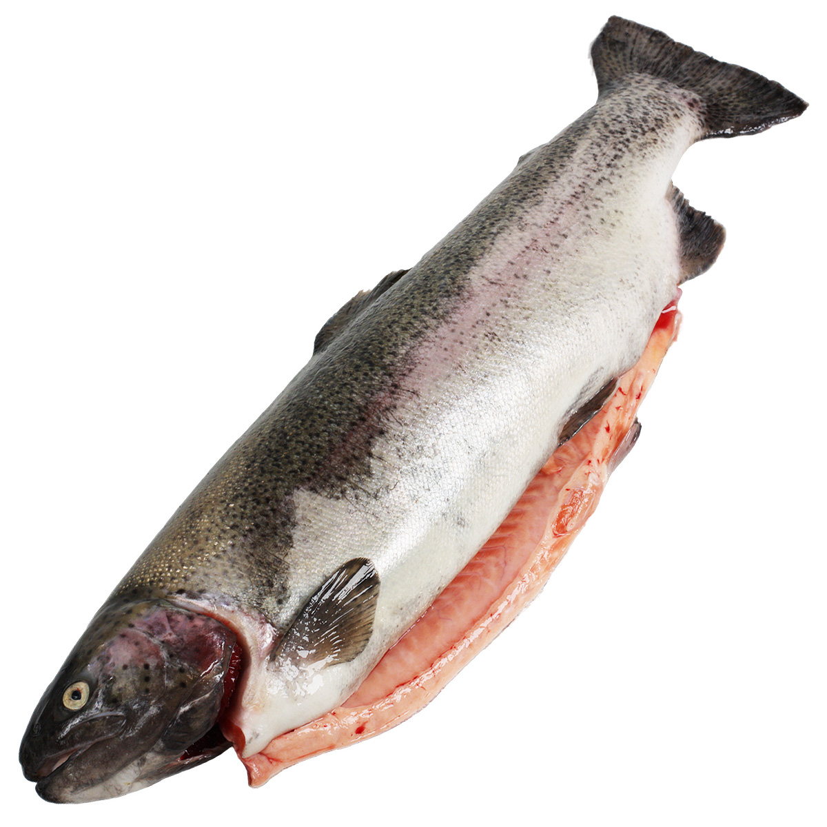 Форель радужная крупная охлажденная