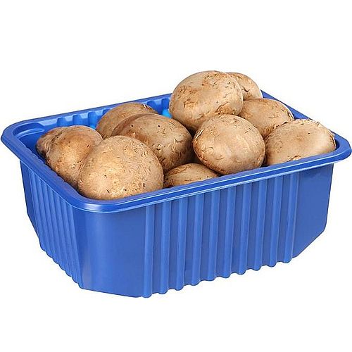 Шампиньоны королевские 400г