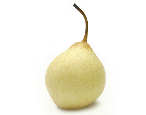 Груша Китайская