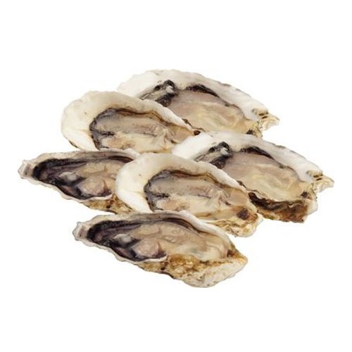 Устрицы свежемороженые 1/2 раковины