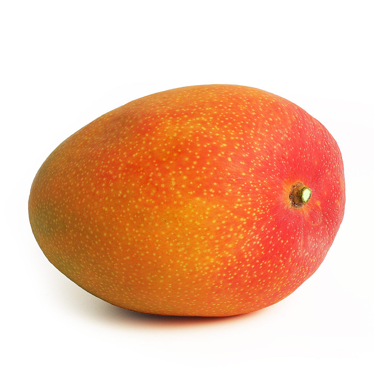 Манго купить озон. Манго Королевский. Манго Kent. Манго Королевский фрукт. Королевский сорт манго.