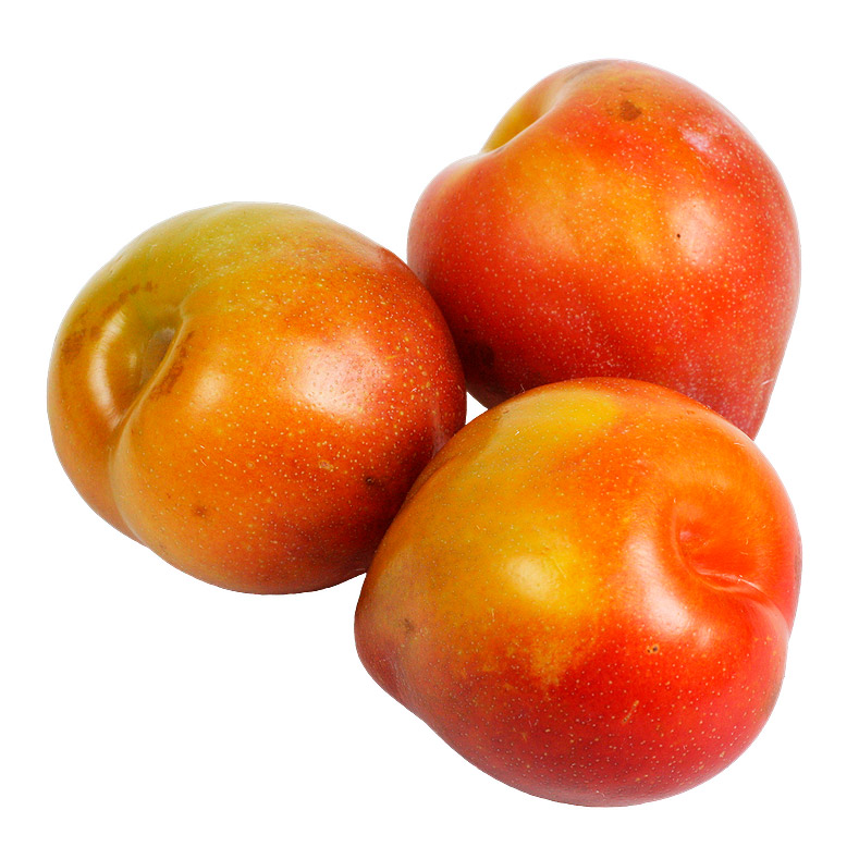 Слива розовая японка 