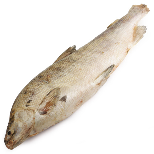 Чир свежемороженый