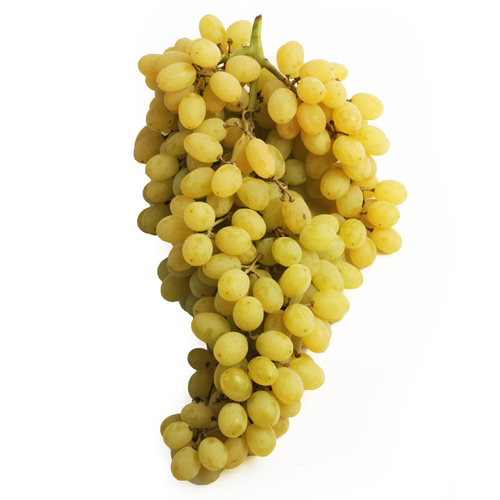 Виноград кишмиш белый