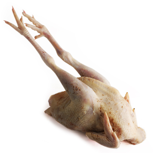 Курица суповая домашняя тушка