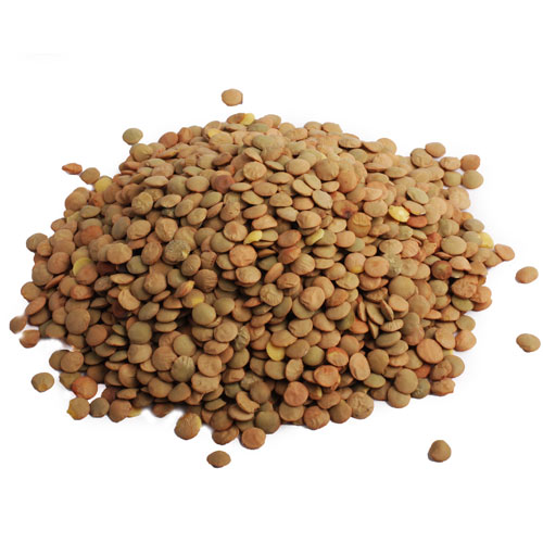 Зеленая чечевица