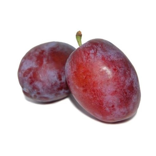 Слива сезонная