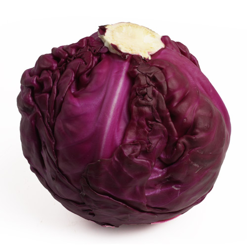 Краснокочанная капуста