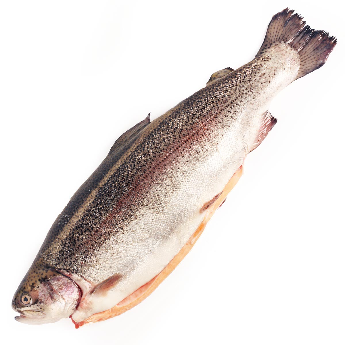 Форель радужная крупная