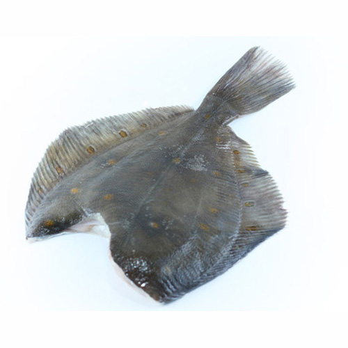 Камбала средняя Мурманская охлажденная