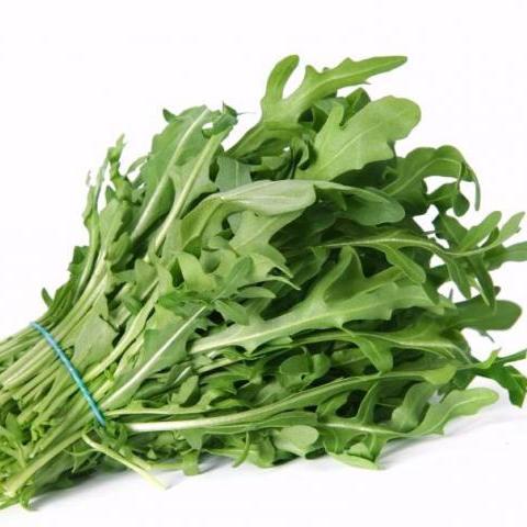 Салат Руккола