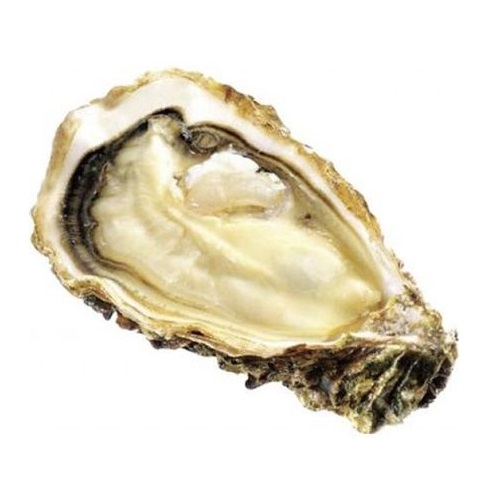 Устрицы Белый Жемчуг №5