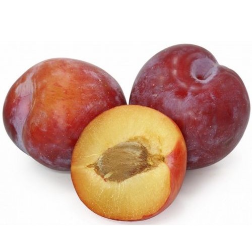 Алыча свежая