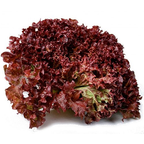 Лола Росса салат коралловый