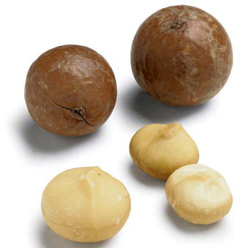 Макадамия орех в скорлупе