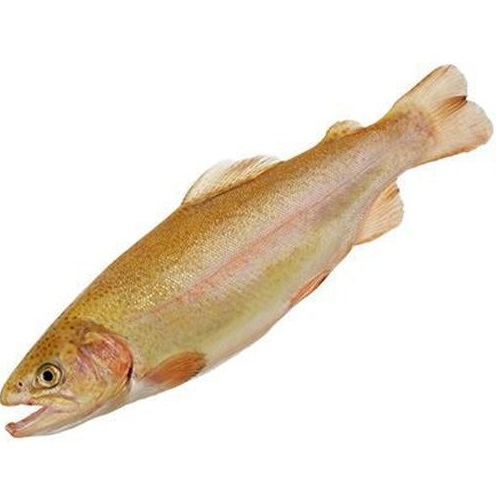 Форель Янтарная мелкая