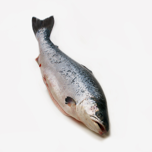 Лосось замороженный 2-3кг