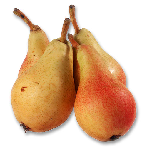 Груша Форель