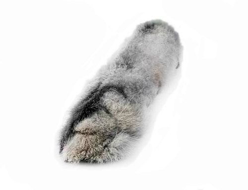 Лапка задняя кролика, с мехом - игрушка для домашних животных