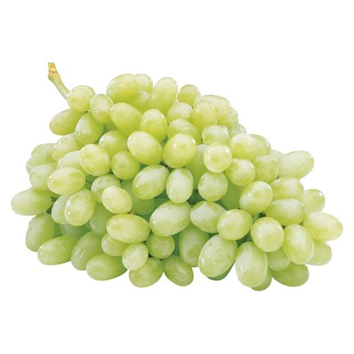 Виноград Томпсон