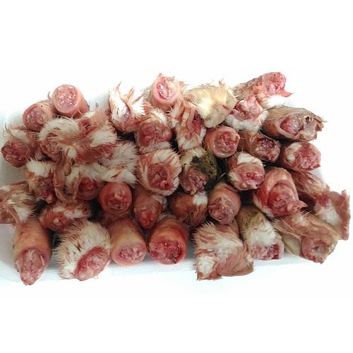 Лапки кролика домашнего (с мехом)