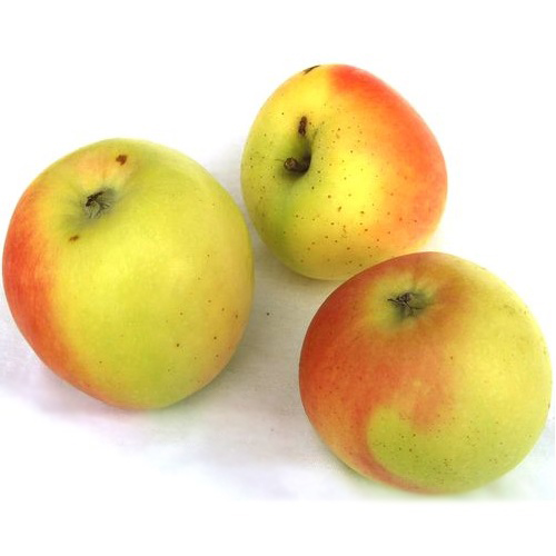 Яблоки Зимний Банан