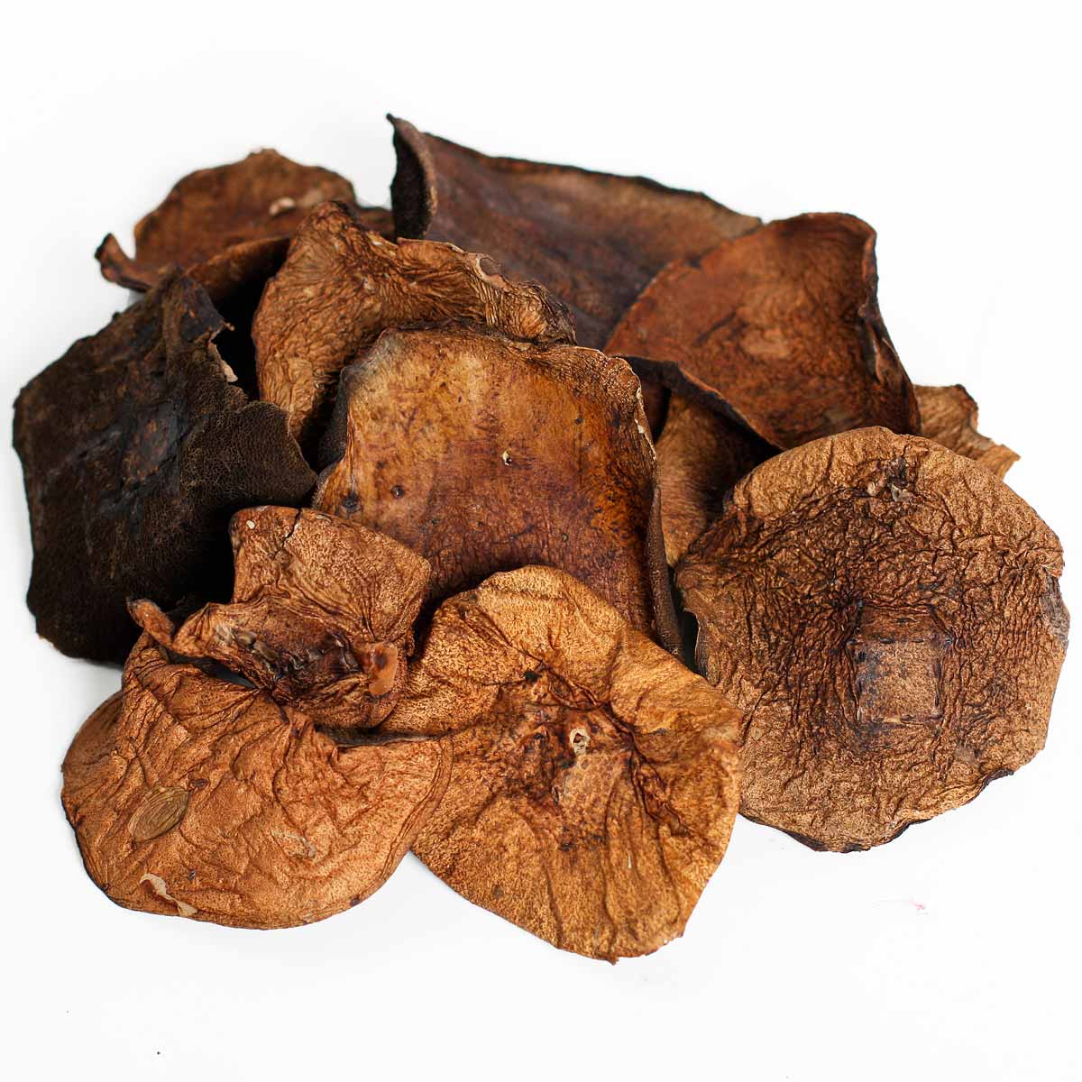 Моховик сушеный