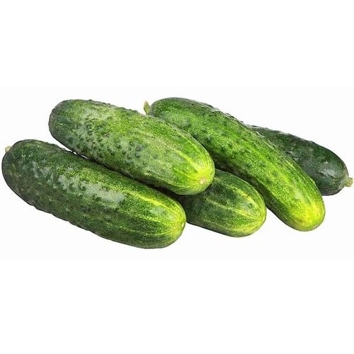 Огурцы короткоплодные