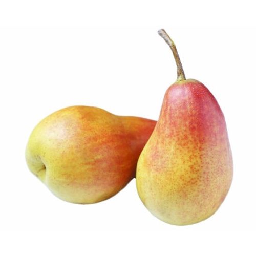 Груша Красавица Талгарская