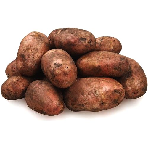 Картофель красный Картофель красный