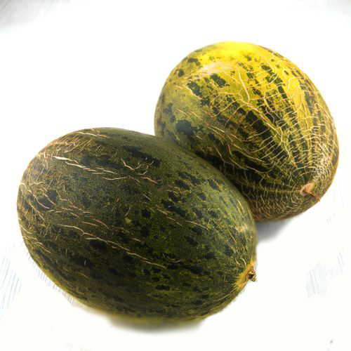 Дыня зеленая