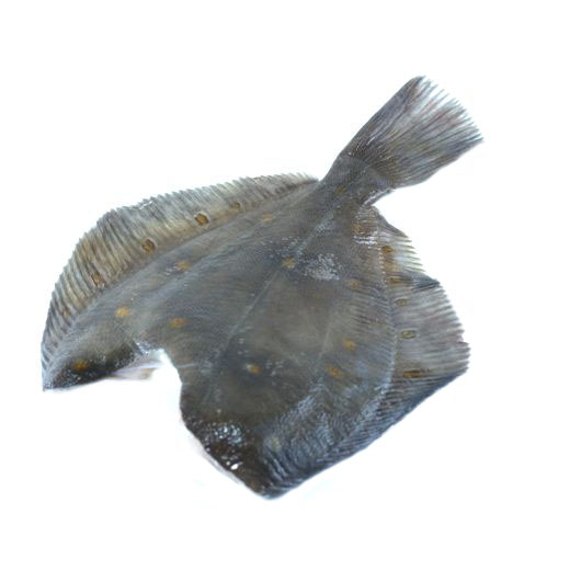 Камбала Мурманская свежемороженая средняя