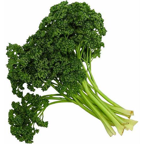 Кудрявая петрушка