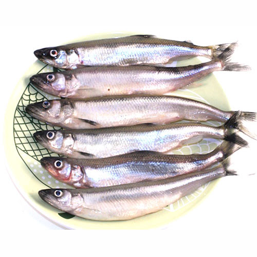 Корюшка свежая крупная